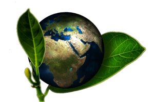 Sustainable_Earth